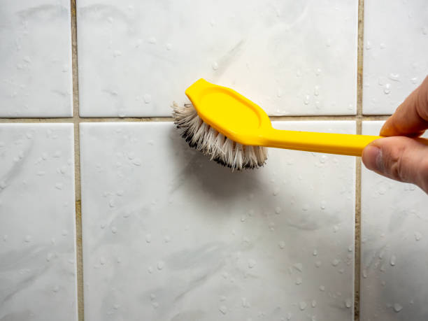 Best Mold Remediation  in Clearwater, SC