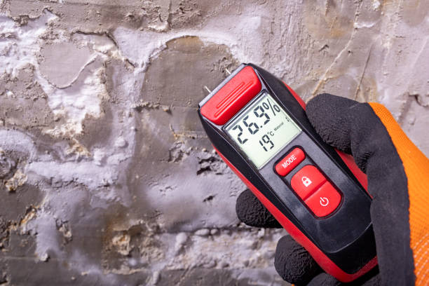 Best Crawl Space Mold Removal  in Clearwater, SC